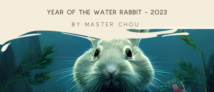Year of the Rabbit - 2023 Blog